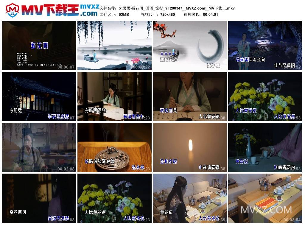 朱思思-醉花阴_国语_流行_YF200347